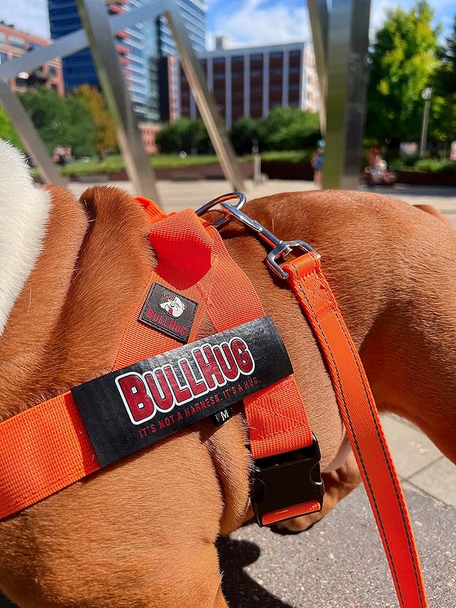 BULLHUG Harness – Made for Larger Chested Dogs Like English Bulldogs, French Bulldogs, Pugs & More. Stops Dogs from Pulling & Choking on Walks (NEON Orange, XL) BULLHUG
