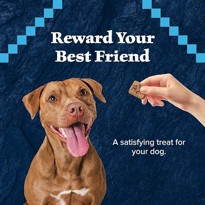 Blue Buffalo Wilderness Trail Treats Crunchy Dog Biscuits, Grain-Free and High-Protein Dog Treats Made with Natural Ingredients, Salmon Recipe 24-oz Bag - PAWPICO