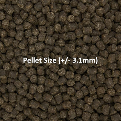 Ocean Nutrition Formula Two Pellets - Fish Food for Herbivorous & Omnivorous Marine Tropical Fish, High Protein(40%) - 7 oz (200 g) Medium Pellets OceanNutrition
