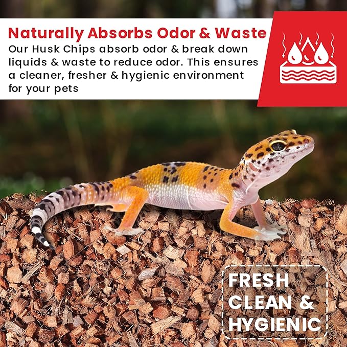 ReptiCare Coconut Husk Chips 12 Quarts of Ready to Use Organic Coco Husk Bedding for Ball Pythons, Snakes, Tortoises, Crested Geckos, Frogs, or Lizard Terrarium Tanks - 2.87 lb Gro-Med