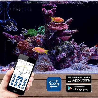 CURRENT USA PRO Dual 48-60" Inch Orbit Marine IC Loop LED Saltwater Reef Marine Aquarium Light with Bluetooth App Control | Wireless Lighting & eFlux Wave Pump Control for Fish Tank (4337) Current+USA
