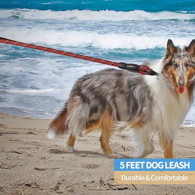 BAAPET 2/4/5/6 FT Dog Leash with Comfortable Padded Handle and Highly Reflective Threads for Small Medium and Large Dogs (5FT-1/2'', Black Red) - PAWPICO