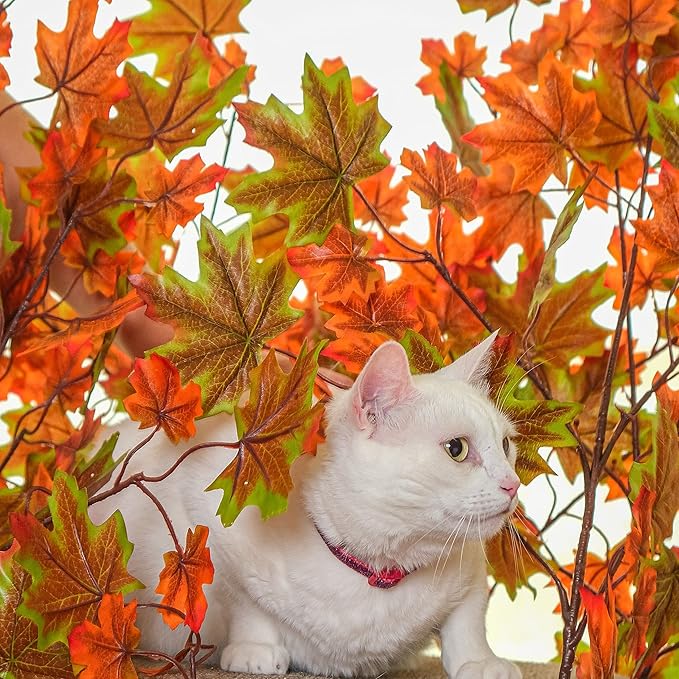 On2 Pets 2ft Interchangeable Leaves Kitty Tree with Scratching Post, Cat Activity Condo Made in USA with Love and Care - PAWPICO