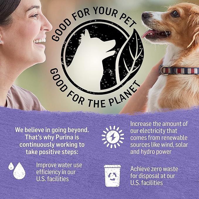 Purina Beyond Turkey and Sweet Potato Grain Free Wet Dog Food Ground Entree - (Pack of 12) 13 oz. Cans - PAWPICO