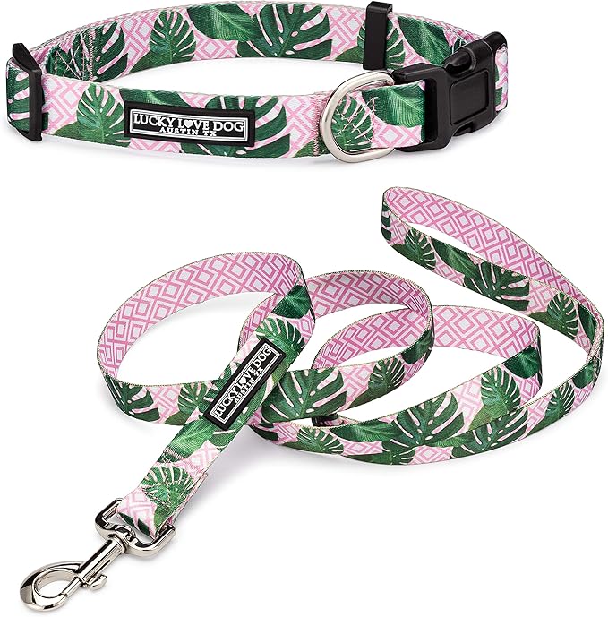 Lucky Love Dog, Tropical Matching Dog Collar & Leash Set, Soft & Comfy, Vivid Pink Color Collar and Leash for Female Male Dogs - (X-Small, Laguna Combo) LuckyLoveDog
