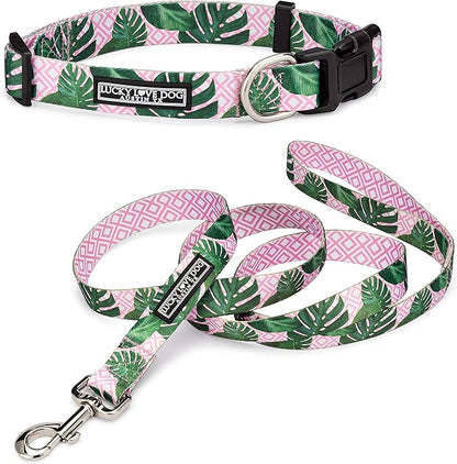 Lucky Love Dog, Tropical Matching Dog Collar & Leash Set, Soft & Comfy, Vivid Pink Color Collar and Leash for Female Male Dogs - (Large, Laguna Combo) LuckyLoveDog