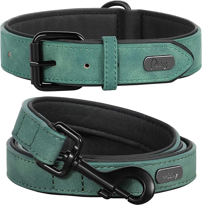 Didog Soft Padded Leather Dog Collar and Leash Set, Heavy Duty Dog Leash and Collar Set with Metal Buckle, Breathable Dog Collars with 4FT Leather Dog Leash for Small Medium Large Dogs, Green, L Didog