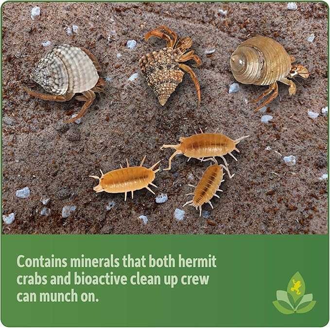 Josh's Frogs Hermit Crab BioBedding Bioactive Substrate (4 Quart (Sand Included)) JoshsFrogs