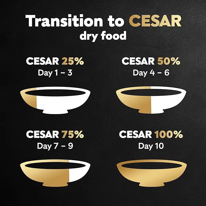 CESAR Small Breed Dry Dog Food Rotisserie Chicken Flavor and Spring Vegetables Garnish, 12 lb. Bag - PAWPICO