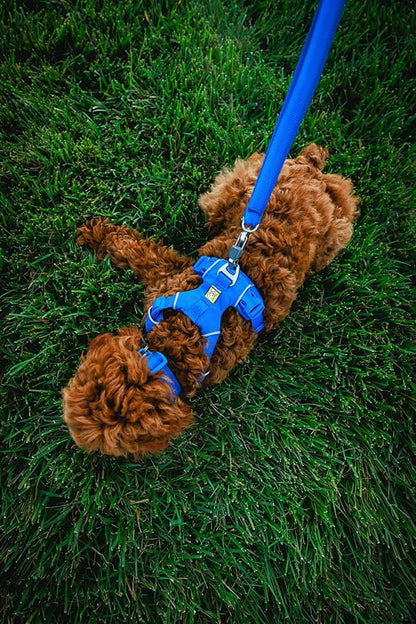 Ruffwear, Front Range Dog Collar, Durable and Comfortable Collar for Everyday Use, Coastal Fade, 14"-20" RuffwearInc