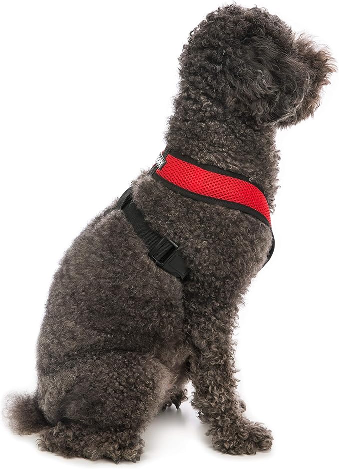 Gooby Comfort X Head in Harness - Red, Large - No Pull Small Dog Harness, Patented Choke-Free X Frame - Perfect on The Go Dog Harness for Medium Dogs No Pull or Small Dogs for Indoor and Outdoor Use Gooby
