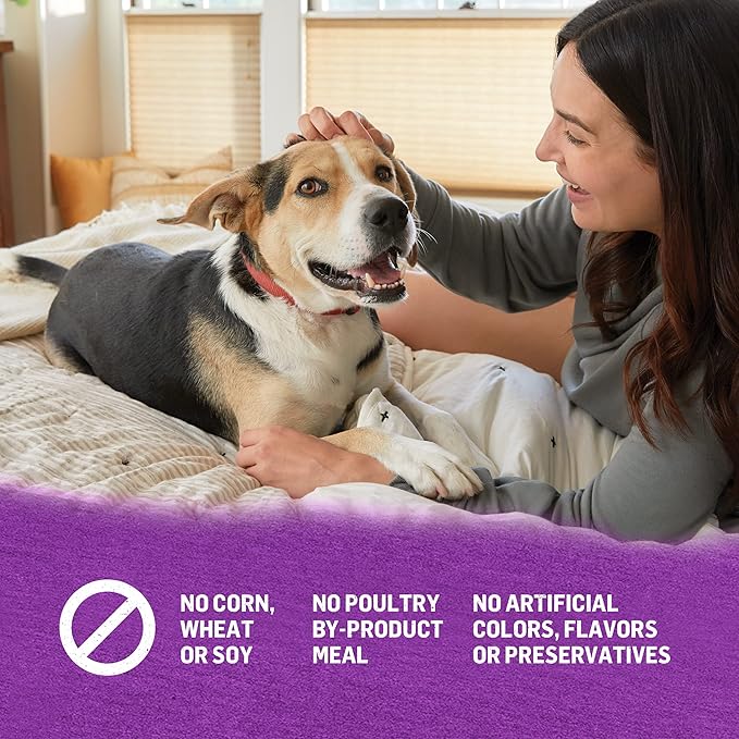 Purina Beyond Gravy, Beef, Chicken or Turkey in Gravy Ground Entree Grain Free Wet Dog Food Variety Pack - (Pack of 6) 12.5 oz. Cans - PAWPICO