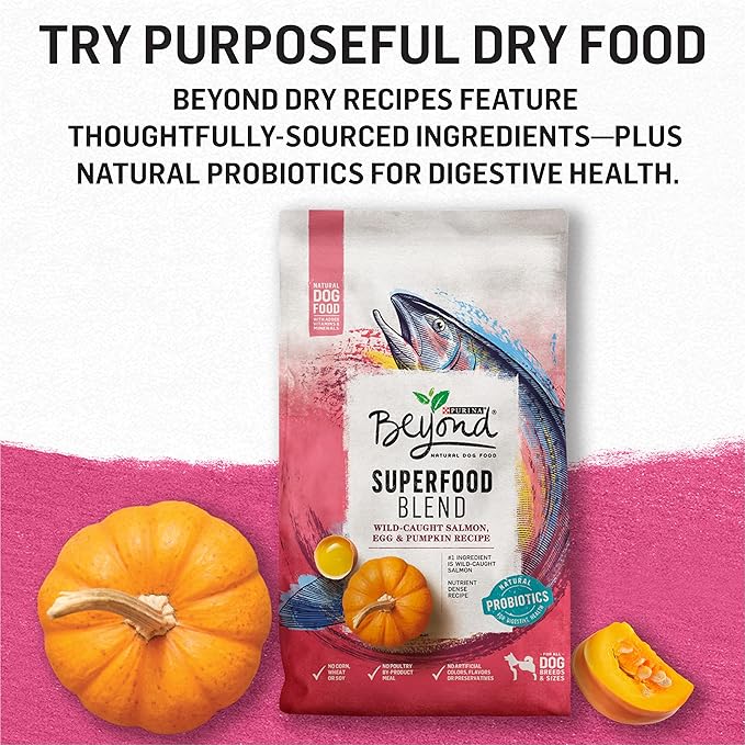 Purina Beyond Grain Free, Natural Gravy Wet Dog Food, Grain Free Beef & Spinach Recipe - (12) 12.5 oz. Cans - PAWPICO