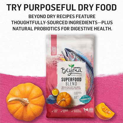 Purina Beyond Grain Free, Natural Gravy Wet Dog Food, Grain Free Beef & Spinach Recipe - (12) 12.5 oz. Cans - PAWPICO