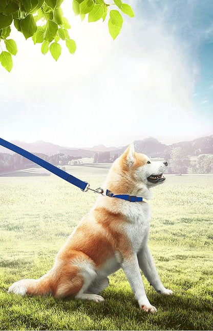 15ft 20ft 30ft 40ft 50ft Long Dog/Puppy Lead Obedience Recall Training Dog Leashes for Small Medium Dogs Camping, Training, Play, or Backyard (15 FT, Blue) PETGOGO