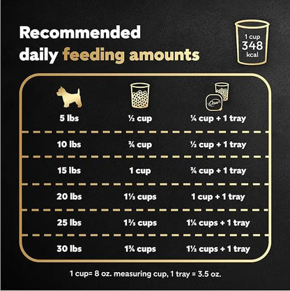 CESAR Small Breed Dry Dog Food Rotisserie Chicken Flavor and Spring Vegetables Garnish, 12 lb. Bag - PAWPICO