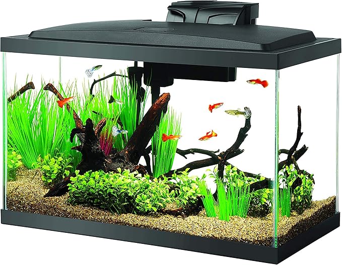 Aqueon Aquarium Fish Tank Starter Kit with LED Lighting 10 Gallon Fish Tank Aqueon