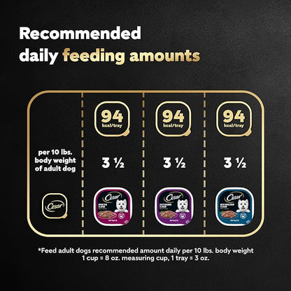 CESAR Adult Soft Wet Dog Food Filets in Gravy Variety Pack, Filet Mignon, New York Strip and Prime Rib Flavors, (24) 3.5 oz. Trays - PAWPICO