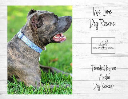 Lucky Love Dog Collar, Cute Winter Dog Collars for Medium Dogs, Blue Snowflake Dog Collar for Male and Female Dogs, Part of Purchase Donated to Dog Rescue - (Winterblue Collar, M) LuckyLoveDog