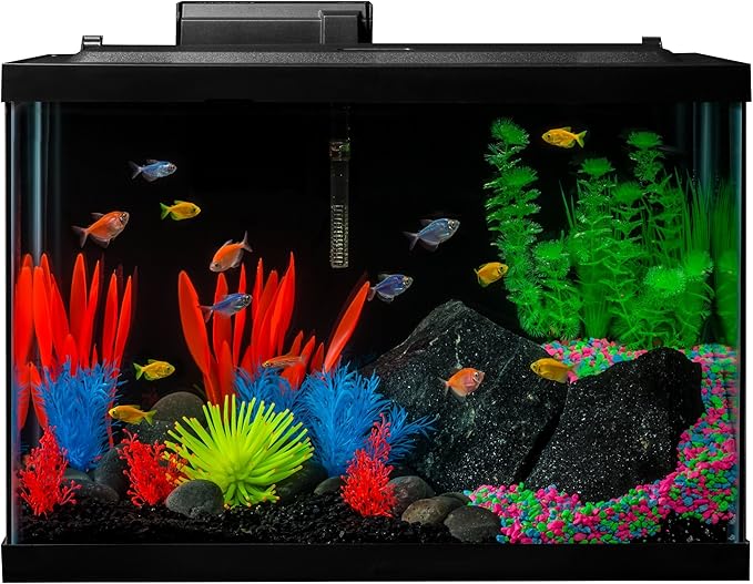GloFish 20 Gallon Aquarium Kit with LED Lights, Decor Heater and Filter GloFish