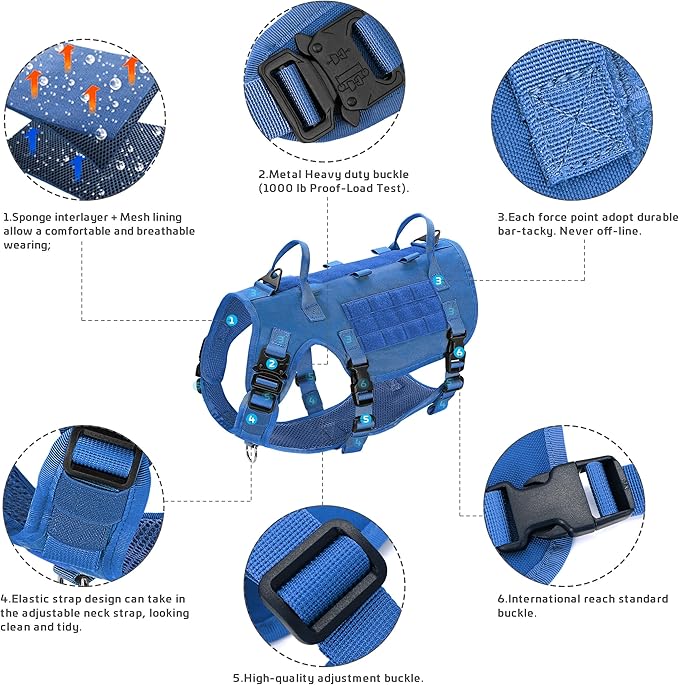 Forestpaw Tactical Dog Harness for Large Dogs,Tactical Dog Collar with Bungee Leash Set,No Pull Military Dog Harness for Dog Walking Training,Adjustable for Medium Large Dogs,Blue M Forestpaw
