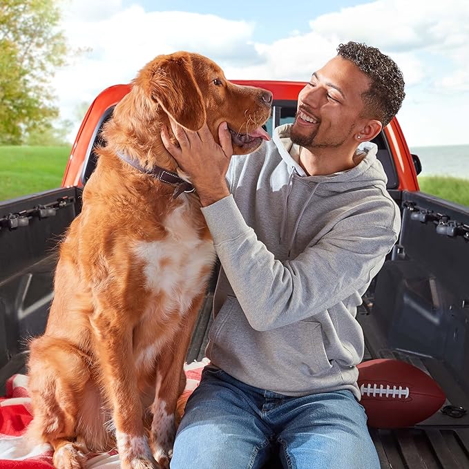 Pup-Peroni Original Beef Flavor Dog Treats, 5.6 Ounce Bag (Pack of 8) - PAWPICO