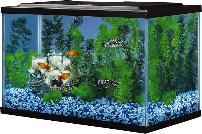 Tetra Glass Aquarium 5.5 Gallons, Rectangular Fish Tank Tetra