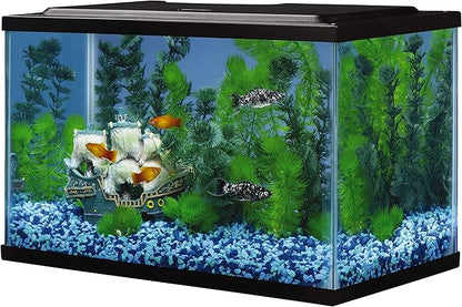Tetra Glass Aquarium 5.5 Gallons, Rectangular Fish Tank Tetra