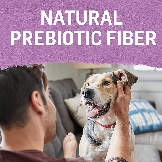 Beyond Purina Grain Free Gravy Wet Dog Food, Grain Free Turkey & Green Bean Recipe in Gravy - (12) 12.5 oz. Cans (Pack of 2) - PAWPICO