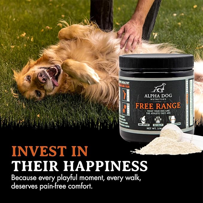 Free Range Joint Health Enhancer Supplement Powder for Dogs by Alpha Dog Nutrition - Premium Dog Arthritis Vitamins to Care for Joints - Contains Glucosamine, Chondroitin, MSM, Vitamin E, & More AlphaDogNutrition