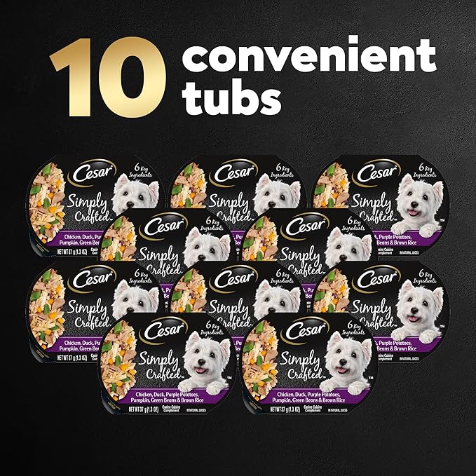 CESAR SIMPLY CRAFTED Adult Wet Dog Food Meal Topper, Chicken, Duck, Purple Potatoes, Pumpkin, Green Beans & Brown Rice, 1.3oz., Pack of 10 - PAWPICO