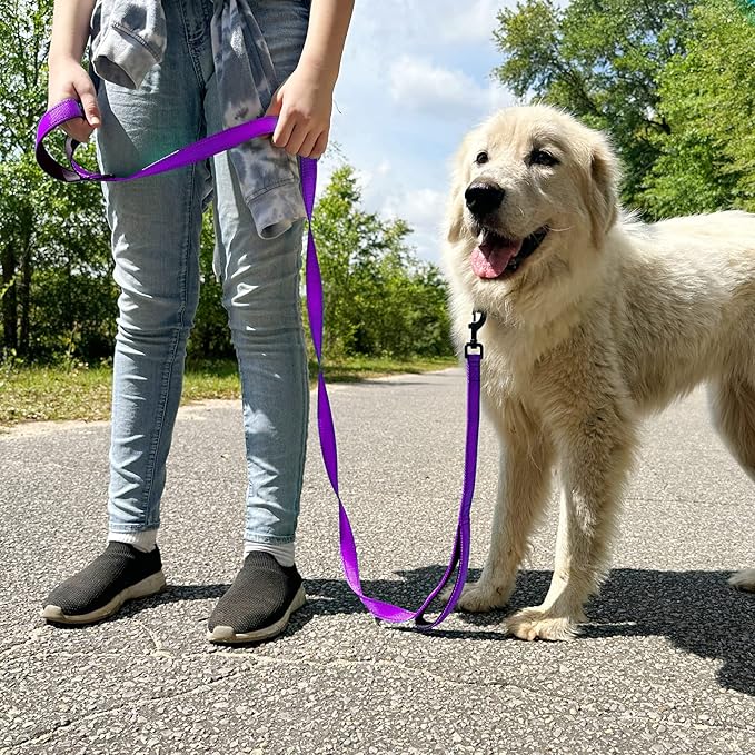 Joytale Dog Leash Heavy Duty for Large Dogs That Pull, Double Handle for Traffic Control, Double-Sided Reflective Leashes for Large Medium Dogs Night Safety, 6FT, Purple Joytale