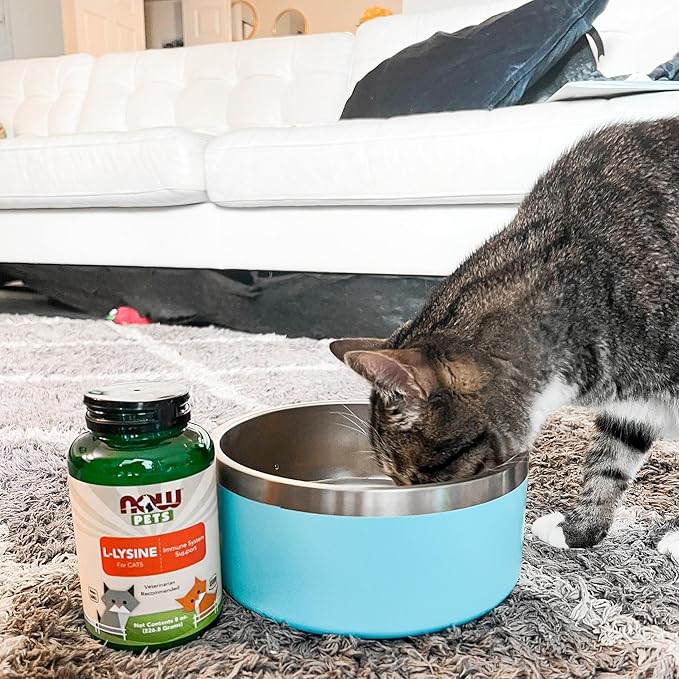 NOW Foods Pet Health, L-Lysine Supplement, Powder, Formulated for Cats, NASC Certified, 8-Ounce NOW