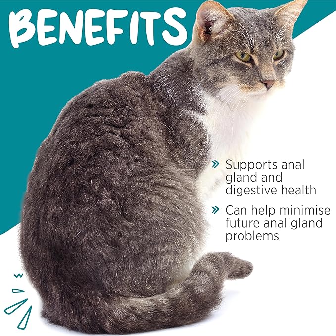 maxxiscoot Anal Gland & Digestive Health Support for Cats - Powder Supplement, 3.2oz maxxipaws