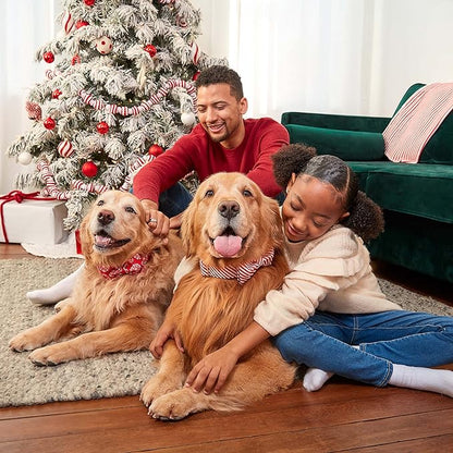 Milk-Bone Limited Edition Holiday Dog Treats, Small Biscuits, 24 Ounce Reusable Tin (Pack of 2) - PAWPICO