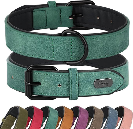 Didog Soft Padded Leather Dog Collar, Breathable Heavy Duty Dog Collar Leather with Adjustable Rust-Proof Metal Buckle for Small Medium Large Dogs, Green, M: Total length 16'', Fit 11-13''Neck Didog
