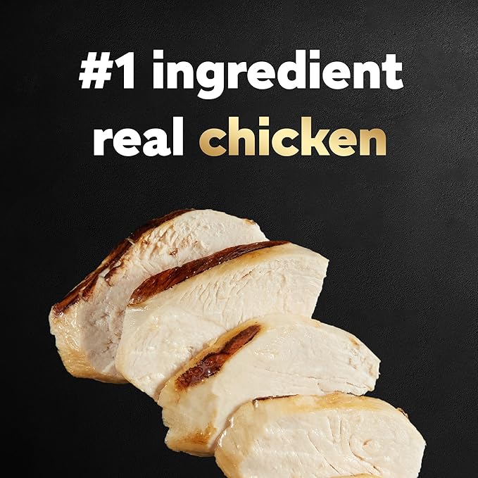 CESAR Filets in Gravy Adult Wet Dog Food, Rotisserie Chicken Flavor, 3.5 oz., Pack of 24 - PAWPICO