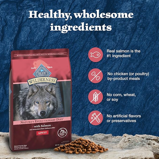 Blue Buffalo Wilderness Adult High-Protein Dry Dog Food Natural Salmon WITH WHOLESOME GRAINS - PAWPICO