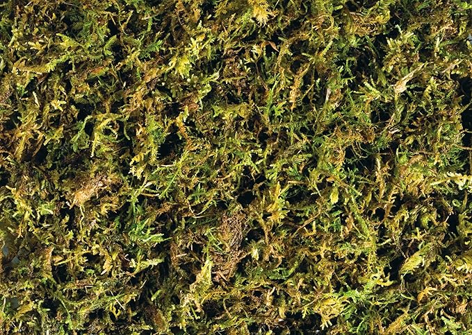 Exo Terra Forest Plume Moss, 7 Quarts, 2-Pack ExoTerra