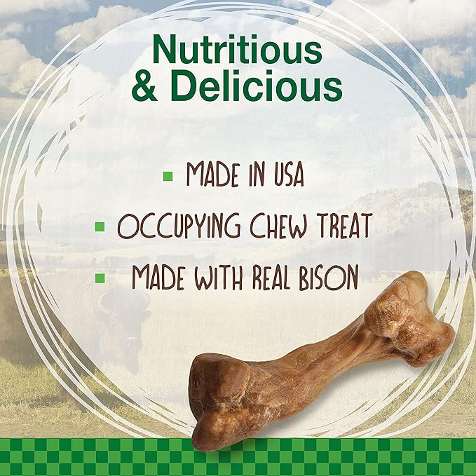 Nylabone Healthy Edibles WILD Natural Long-Lasting Bison Flavor Bone Chew Treats for Dogs, Medium (2 Count) - PAWPICO