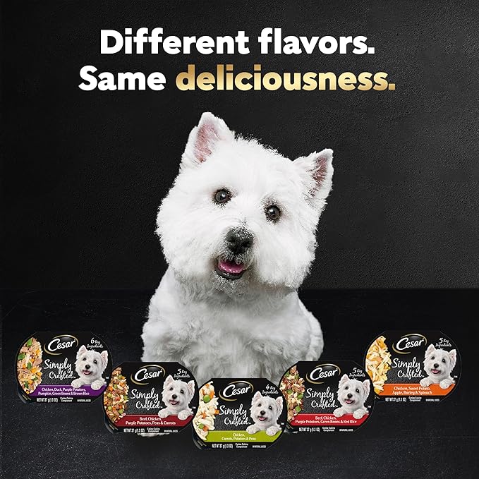 CESAR SIMPLY CRAFTED Adult Wet Dog Food Meal Topper, Chicken, (10) 1.3 oz. Tubs - PAWPICO