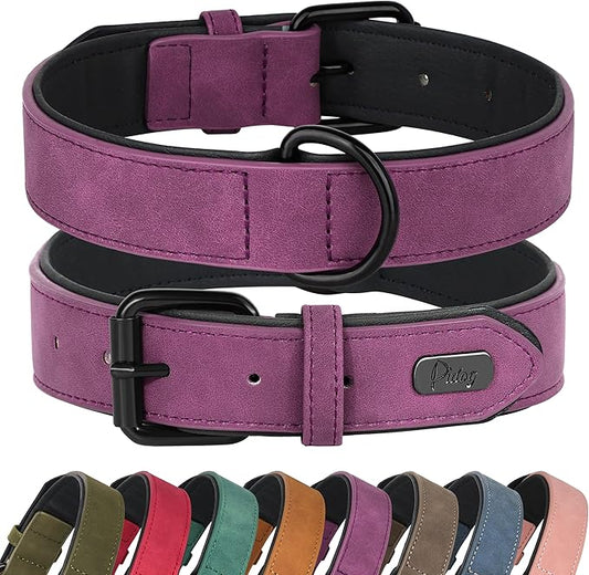 Didog Soft Padded Leather Dog Collar, Breathable Heavy Duty Dog Collar Leather with Adjustable Rust-Proof Metal Buckle for Small Medium Large Dogs, Purple, L Didog
