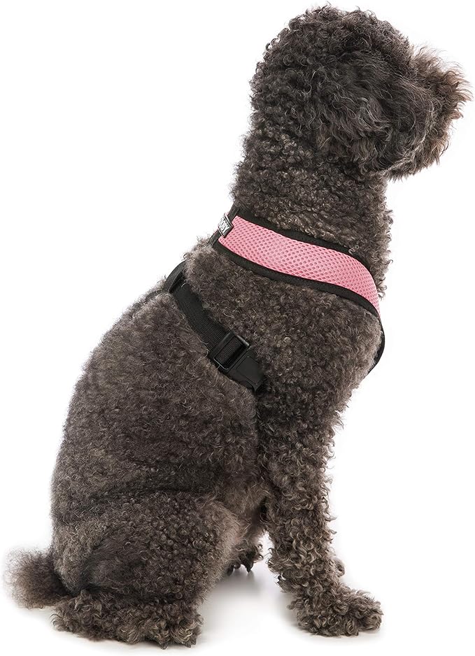 Gooby Comfort X Head in Harness - Pink, Large - No Pull Small Dog Harness Patented Choke-Free X Frame - Perfect on The Go Dog Harness for Medium Dogs No Pull or Small Dogs for Indoor and Outdoor Use Gooby