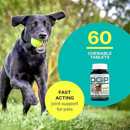 DGP, All-Natural Joint Supplement for Dogs - Joint Support with Turmeric, Boswellia Extract & More - Quick Effect for Immediate Mobility Support - 60 Chewable Pet Tablets AmericanBioSciences