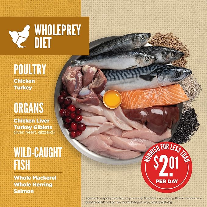 ORIJEN Amazing Grains Puppy Dry Dog Food, High Protein Dog Food for Puppies, Fresh or Raw Ingredients, 22.5lb - PAWPICO