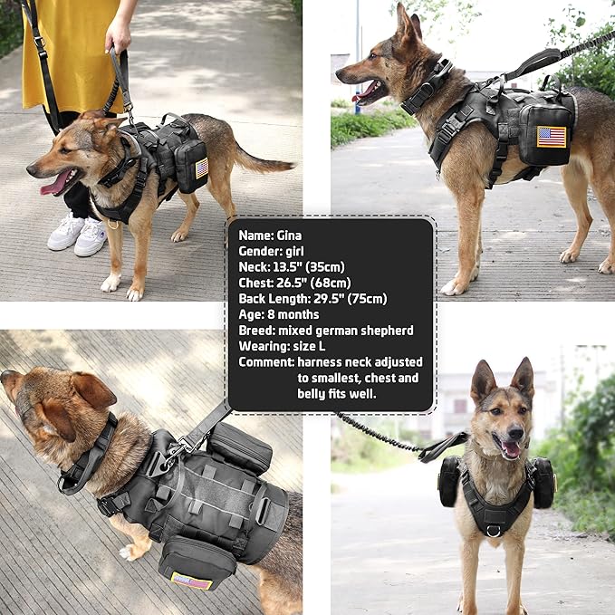 Forestpaw Tactical Dog Harness for Large Dogs,Tactical Dog Collar with Bungee Leash Set,No Pull Military Dog Harness for Dog Walking Training,Adjustable for Medium Large Dogs,Black L Forestpaw