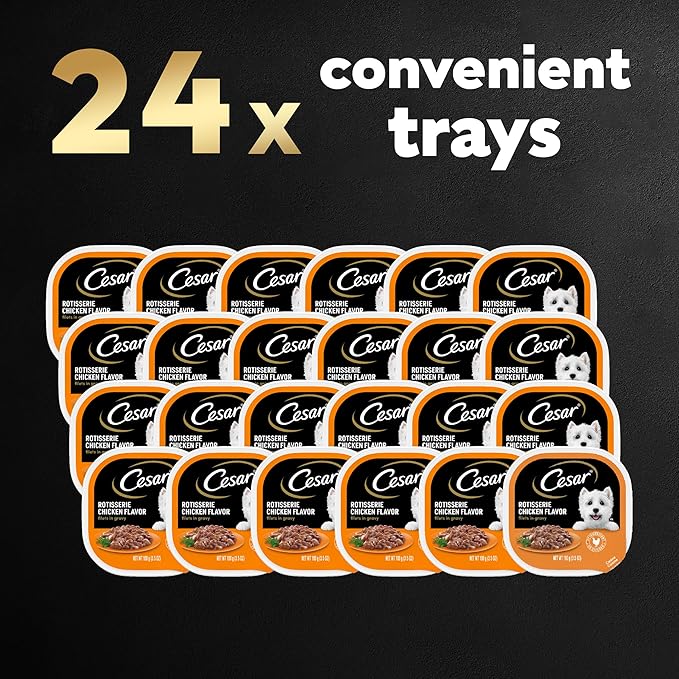 CESAR Filets in Gravy Adult Wet Dog Food, Rotisserie Chicken Flavor, 3.5 oz., Pack of 24 - PAWPICO