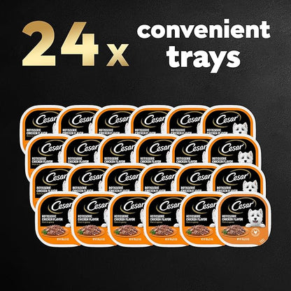 CESAR Filets in Gravy Adult Wet Dog Food, Rotisserie Chicken Flavor, 3.5 oz., Pack of 24 - PAWPICO