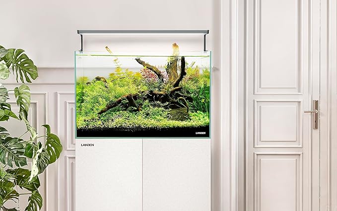 LANDEN 60P 16 Gallon Rimless Low Iron Aquarium Tank, 23.6" W × 11.8" D × 14.2" H (60cm x 30cm x 36cm) 6mm Thickness with Nano Foam Leveling Mat Landen
