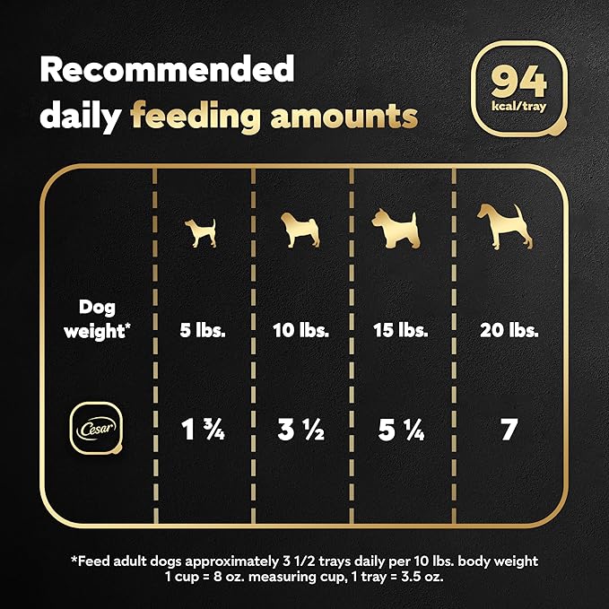 CESAR Filets in Gravy Adult Wet Dog Food, Filet Mignon Flavor, 3.5 oz. Easy Peel Trays, Pack of 24 - PAWPICO